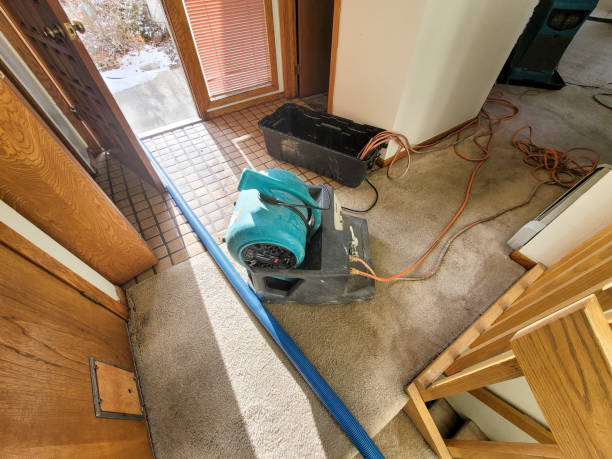 Reliable Deer Park, WA Water damage restoration Solutions