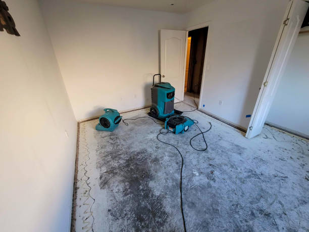Best Professional water damage repair  in Deer Park, WA