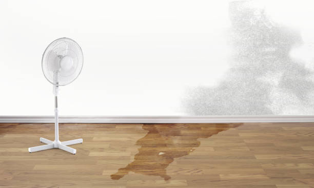 Best Fire Damage Restoration  in Deer Park, WA