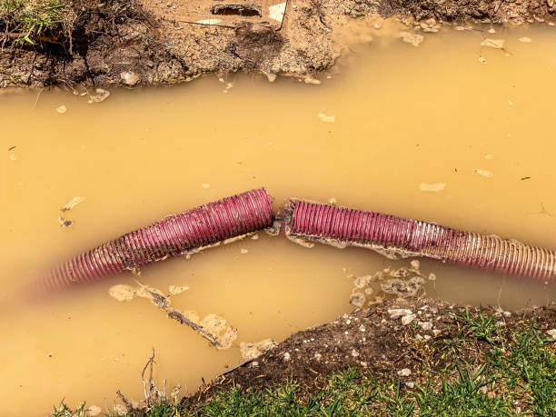 Best Emergency water extraction  in Deer Park, WA